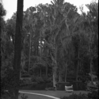 St. Augustine 20