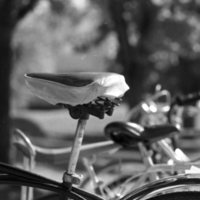 1979 Bicycle Seat