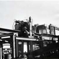 1980 Log Plant 01