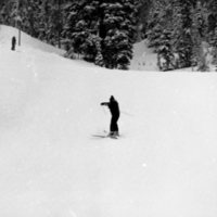 1981 Skiing, Recreation 05