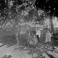 Union County, Children