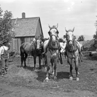 La Grande Farm, Huffman 8