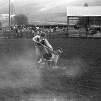 1979 Rodeo, Goat