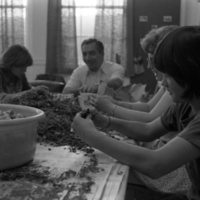1977 Native American Root Feast, Preparation 01