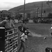 1981 Rodeo, Bull Riding 05