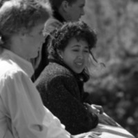 1987 Raft Race, Fans 14
