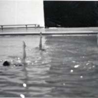 1982 Swimming, Synchronized 01