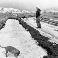 1974 Livestock Ranch 02