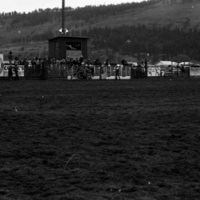 1982 EOSC Rodeo, Bronco Riding 09