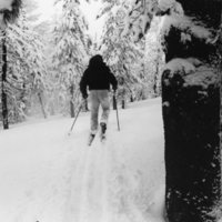 1978 Skiing, Cross Country