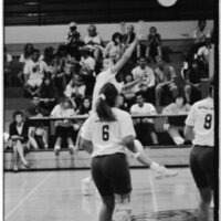 1991 Volleyball Action, Lewis &amp; Clark at EOSC 11