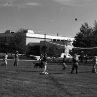 1981 Volleyball, New Students 07