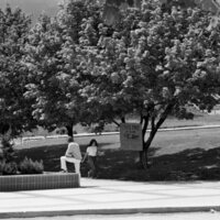 1974 Campus, Save a Tree 06
