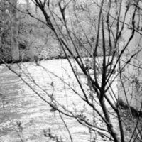 1983-84 Raft Race 03
