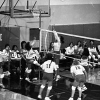 1984 Volleyball Action 19