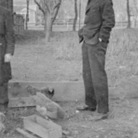 Reuter, Man &amp; Chickens 2