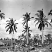 Leyte Camp, Packed Up 2