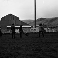 1982 EOSC Rodeo, Roping 05