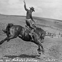 Union Stock Show, 1950 2