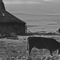 1985 Agriculture, Ranch 09