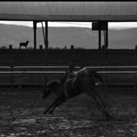 1991 Eastern Rodeo, Bronco Riding 07
