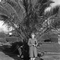 Martha Hill 3