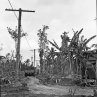 Leyte, Truck in Mud 1