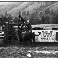 1991 Eastern Rodeo, Bull Riding 01