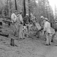 1987 Field Trip, Forest 08