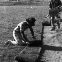 1981 Football Field, New Grass 07