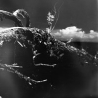 Art, Branches 2