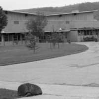 1986 Quinn Coliseum 02