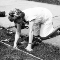 1988 Employees, Planting 06