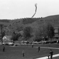 1985 Spring Festival, Kite Flying 15