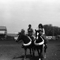 1981 Rodeo, Royalty