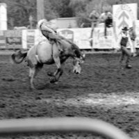 1987 Rodeo, Bronco Riding 11