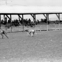 1978 Rodeo, Roping Pairs 03