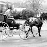 1988 Employee, Jack Johnson Carriage Ride 15