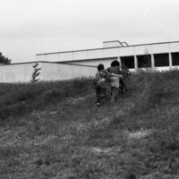 1981 Campus Tree Plantings 12