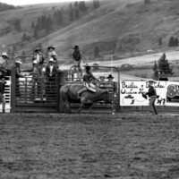 1984 Rodeo Club, Bull Riding 02