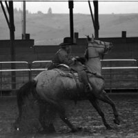 1991 Eastern Rodeo, Roping 16