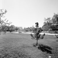 1978 Campus in Spring 03