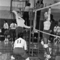 1984 Volleyball Action 07
