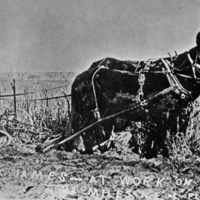Farm, Plowing 2