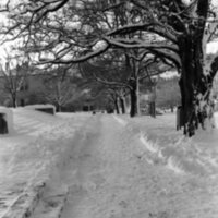 1984 Campus in Winter 03