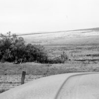 1973 Field Trip, Outdoors 03