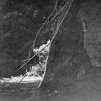 Reuter Group-O, Little Creek 1