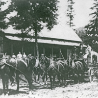 Stagecoach, Elgin to Joseph