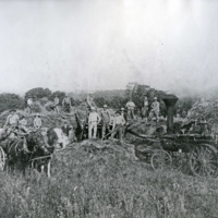 GRV, Threshing Operation 2