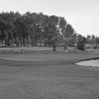 Island City, Golf Course 12